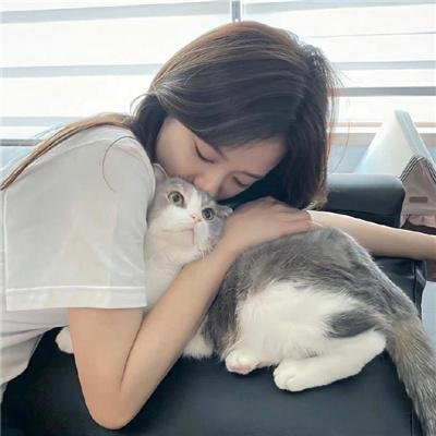 寒冰白血海报