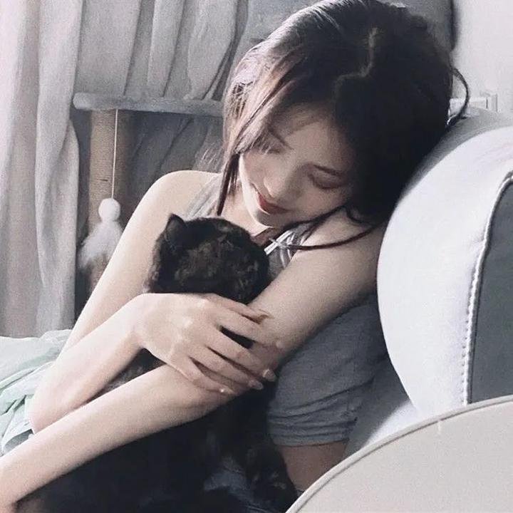 第一夫人的逆袭海报